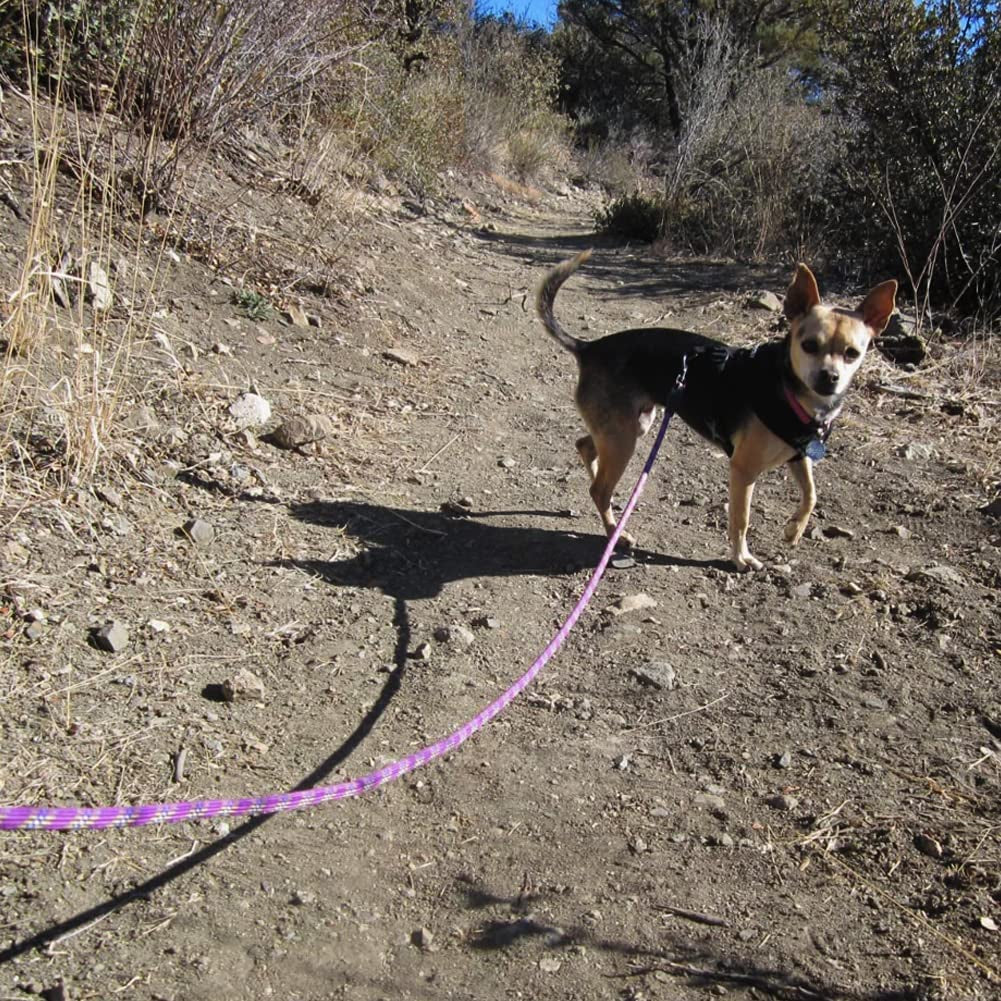 Heavy Duty Rope Dog Leash, 3/4/5/6/7/8/10/12/15 FT Nylon Pet Training Leash, Soft Padded Handle Thick Lead Leashes for Large Medium Dogs (1/2" 6', Purple)